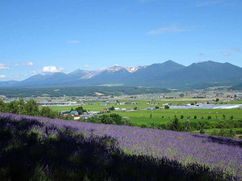 北海道：ラベンダーと十勝連山