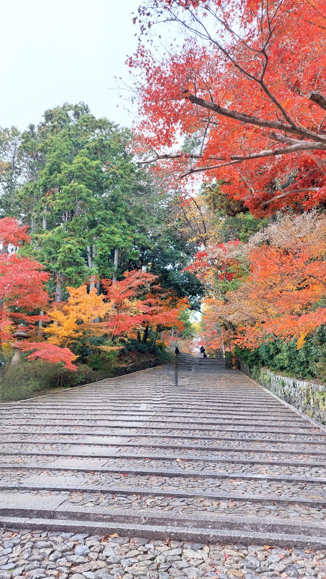 表参道